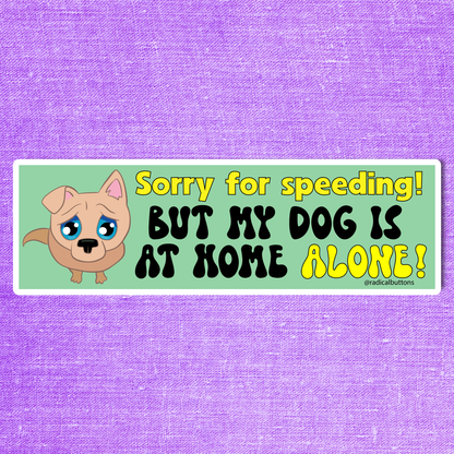 Sorry for speeding but my dog is at home alone bumper sticker