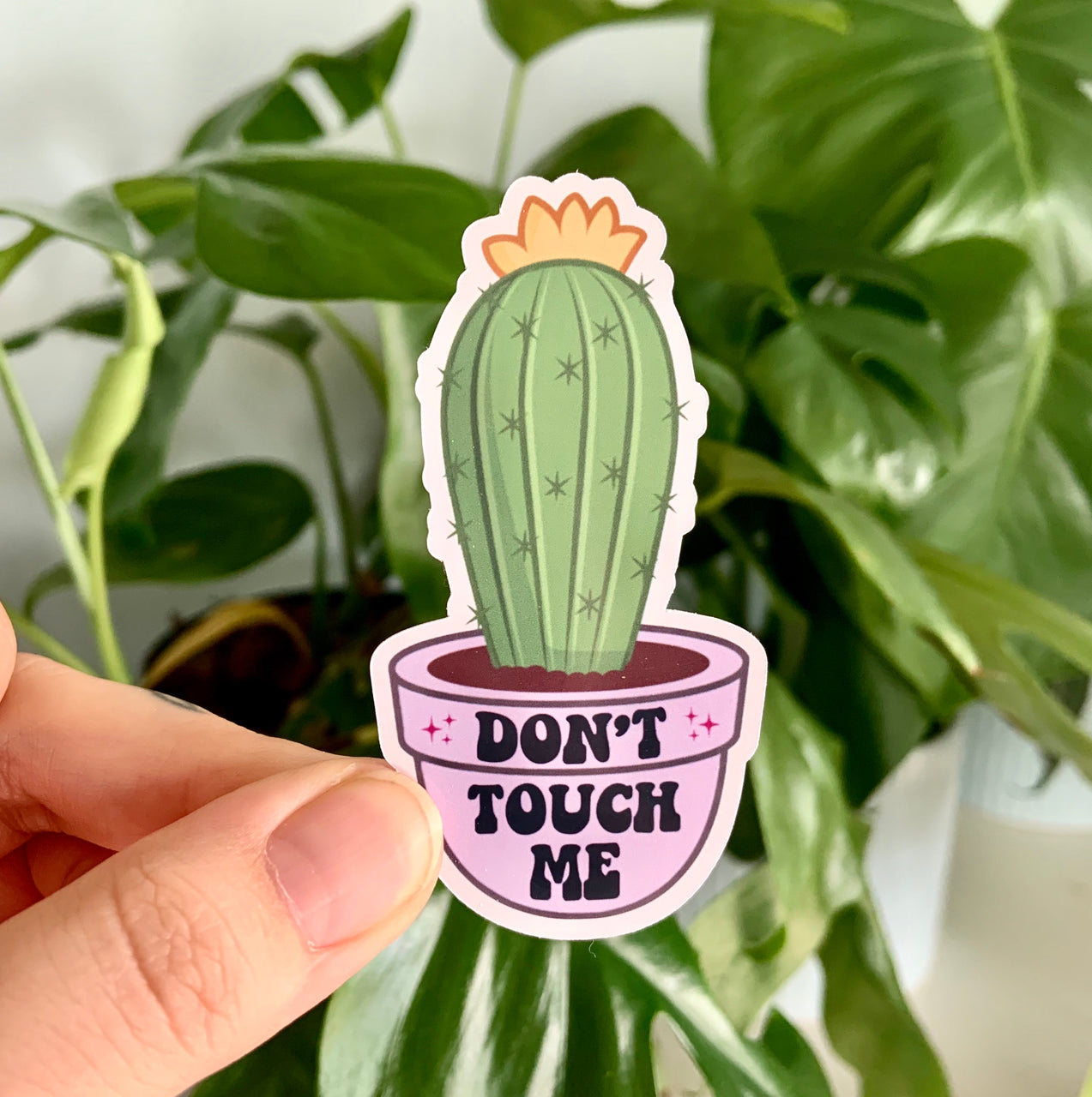 Don’t touch me cactus stickers (pack of 3 or 5)
